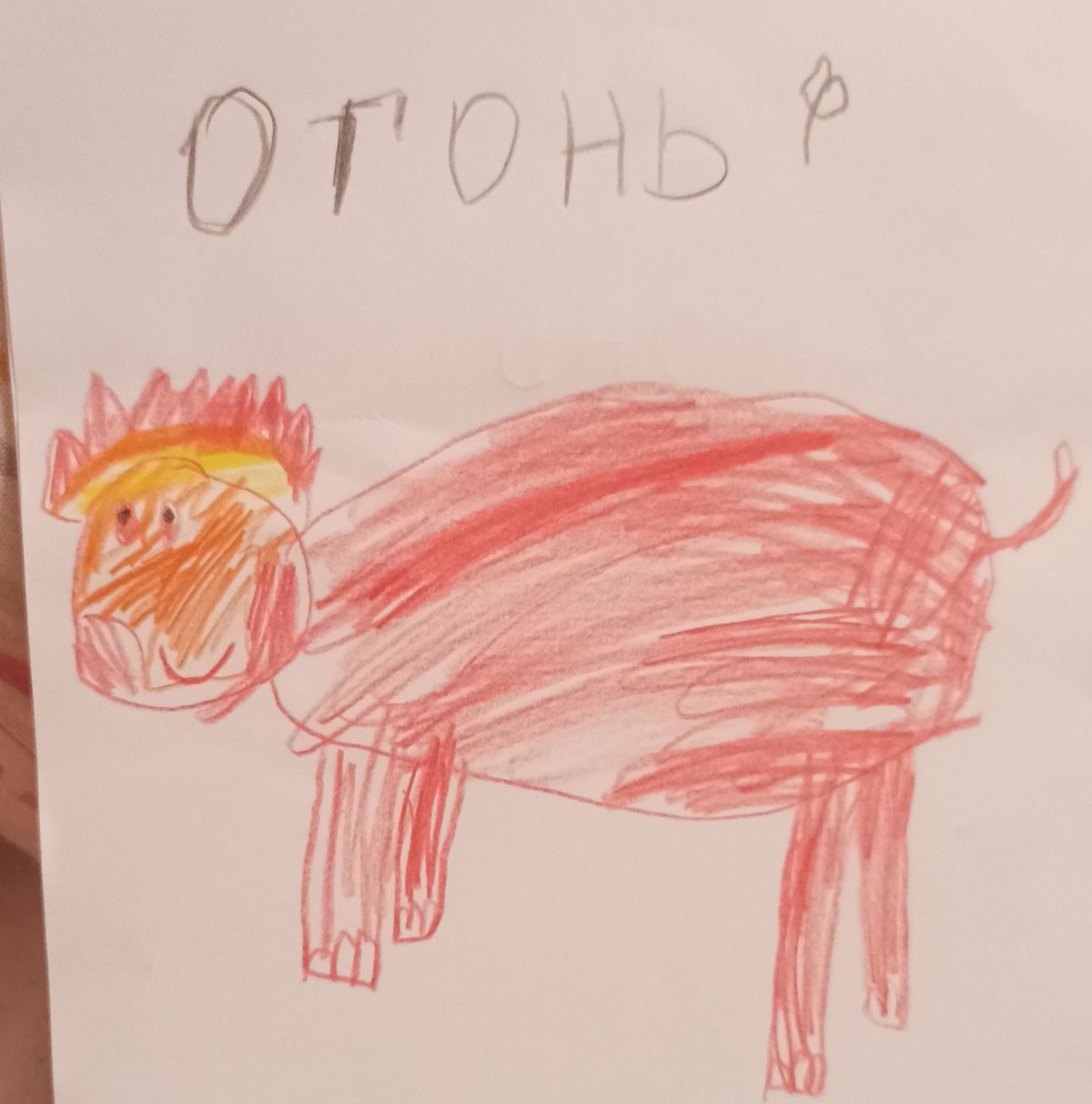 Аня  6 лет