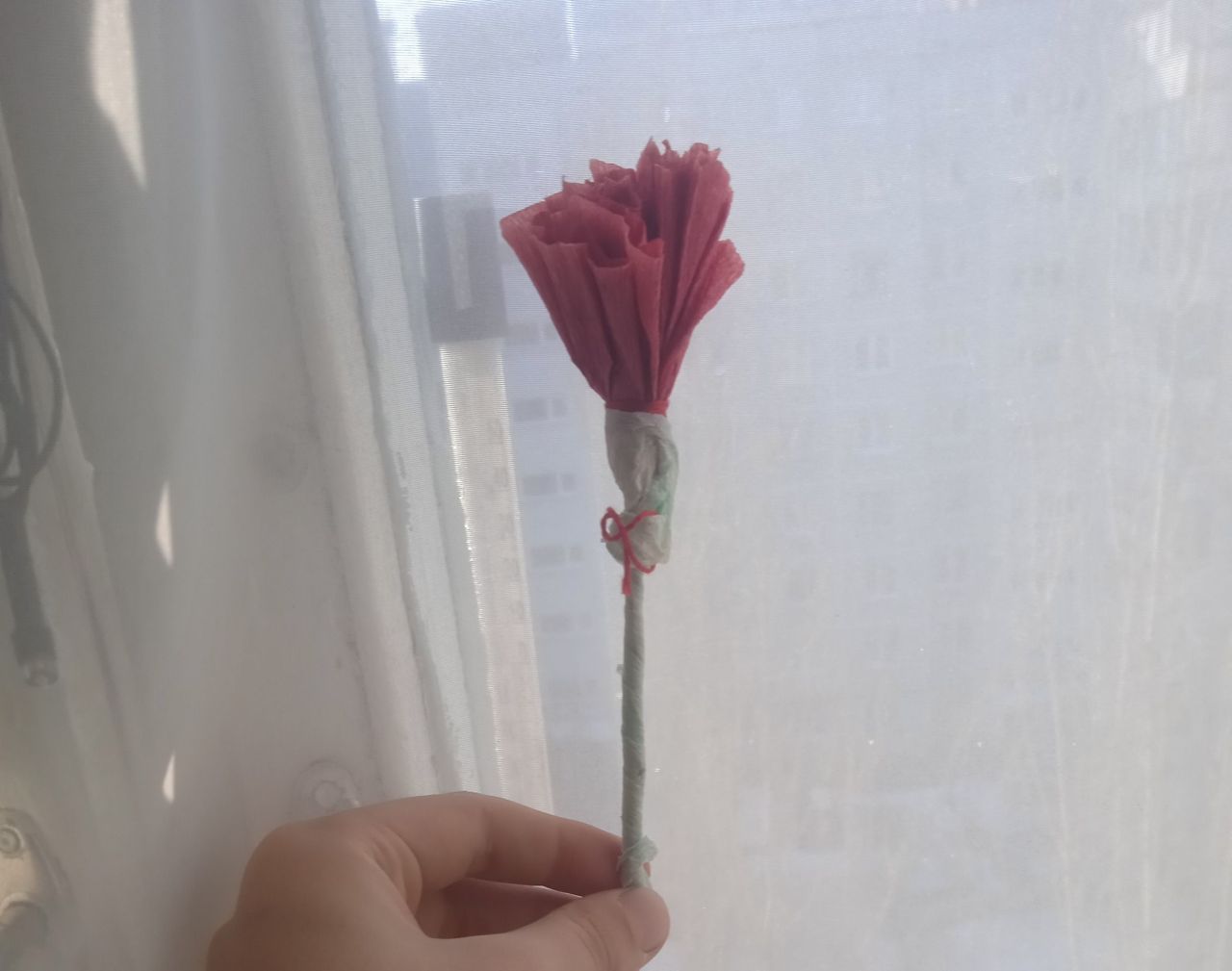 Марк 7 лет