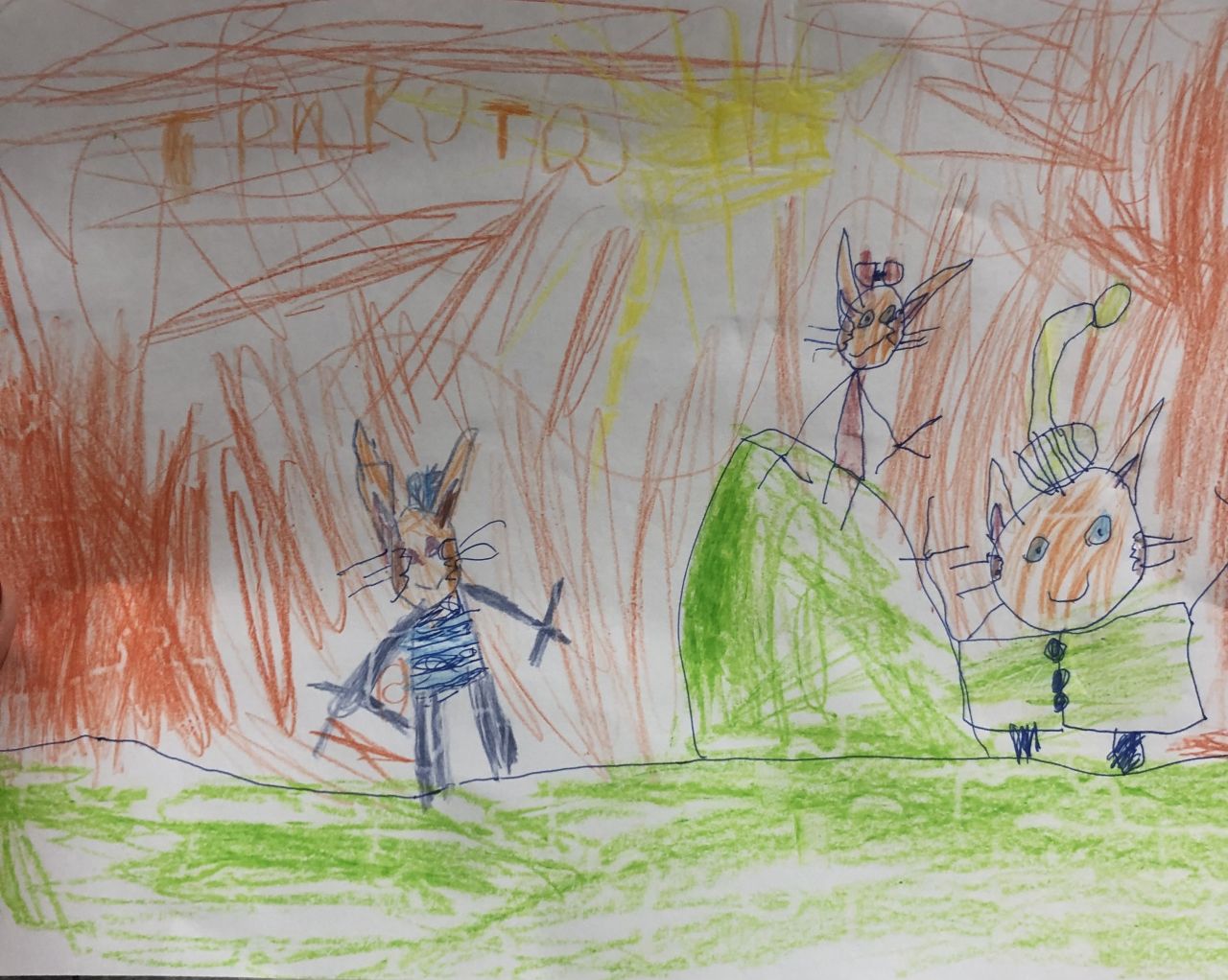 Матвей 5 лет