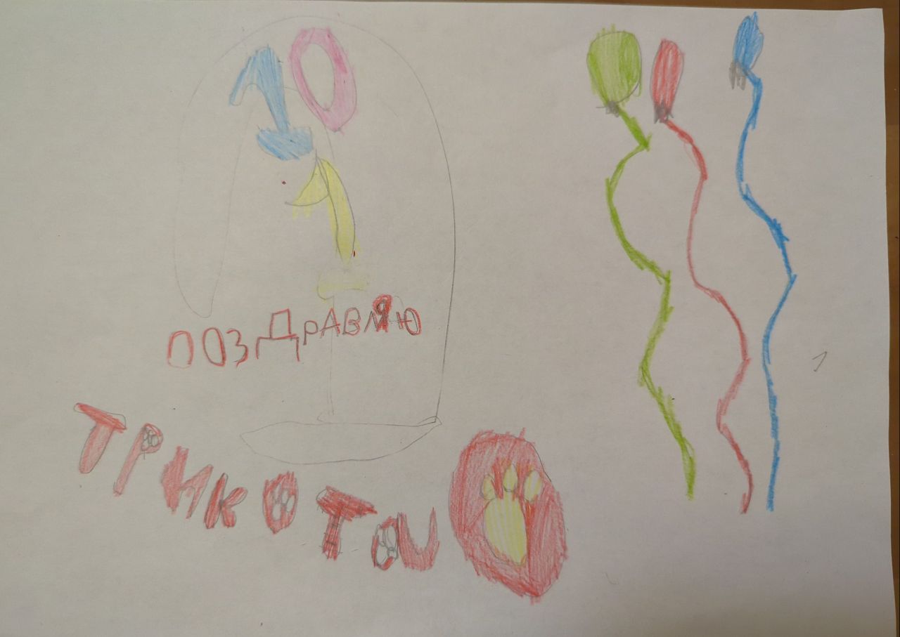 Элина  5 лет