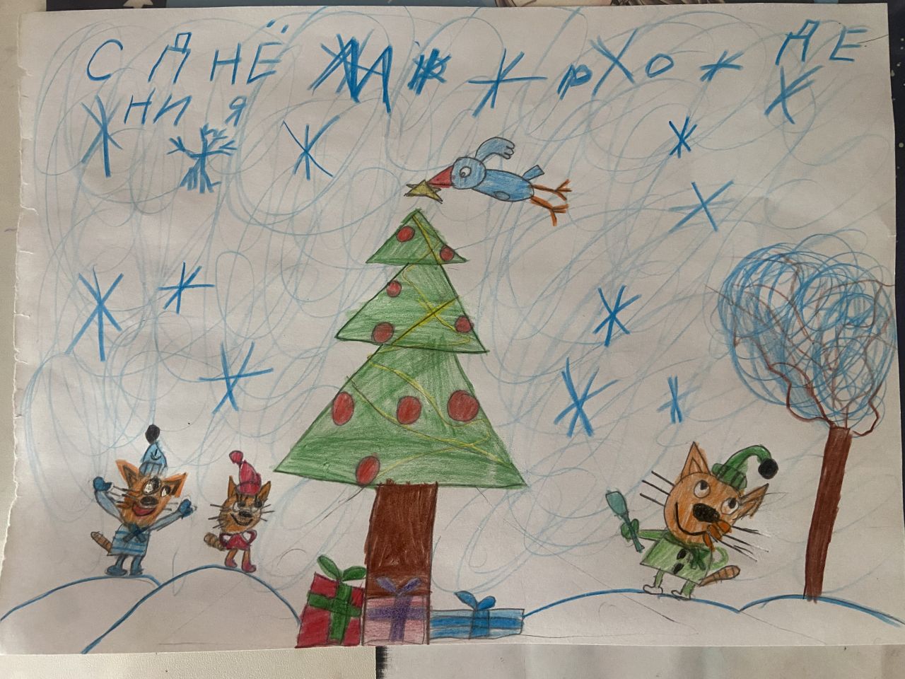 София 10 лет