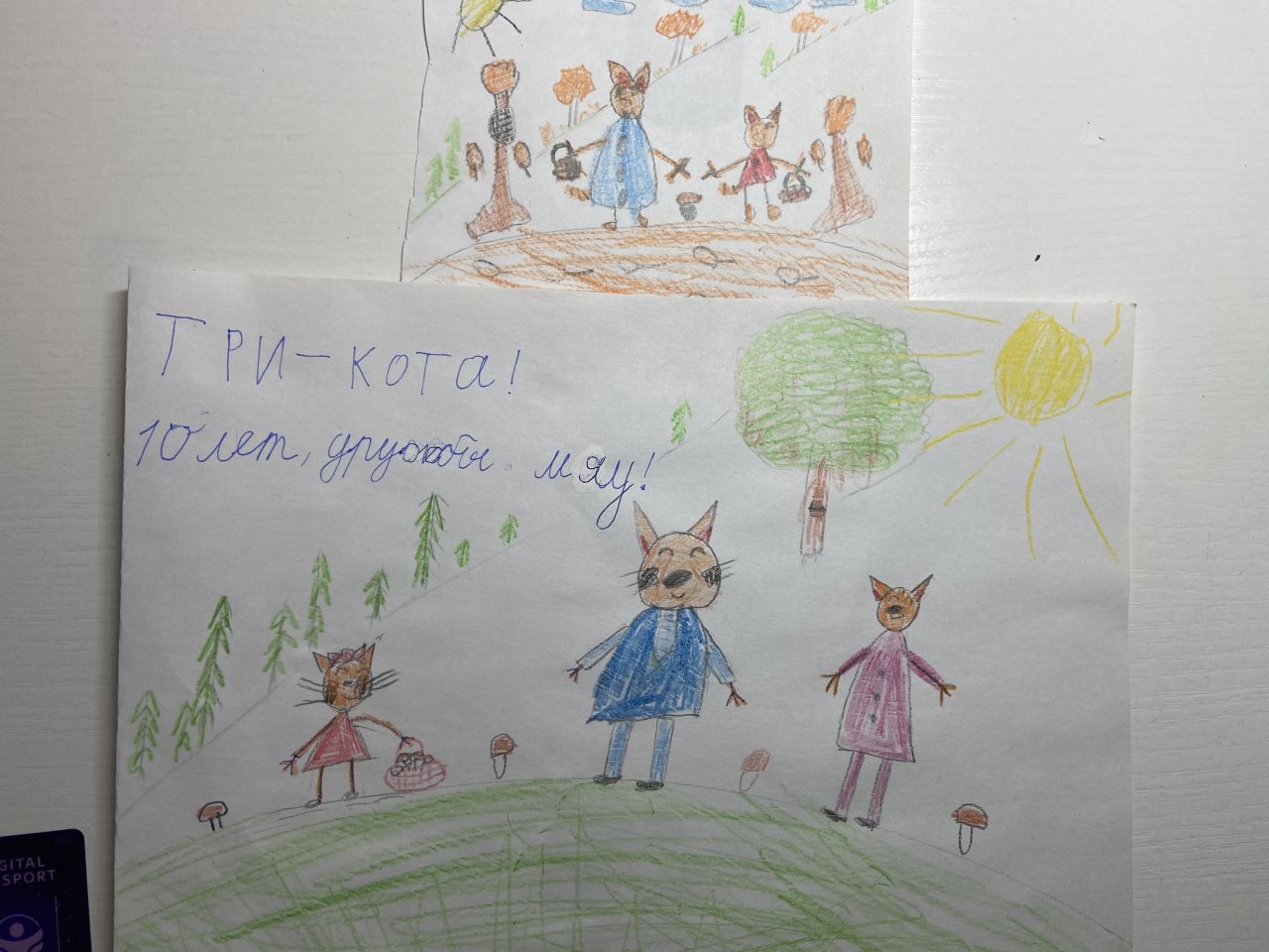 Самира  8 лет