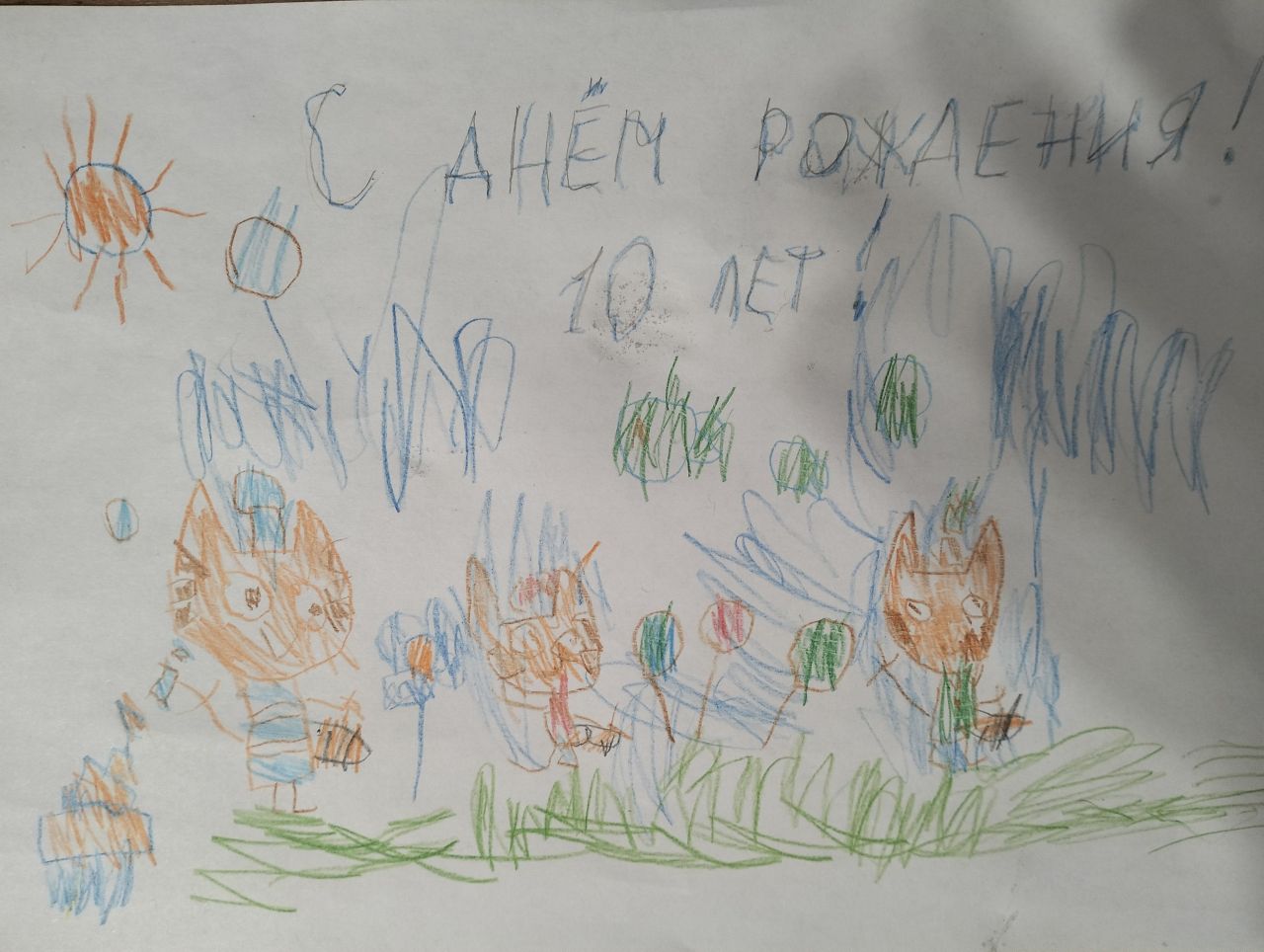 Александр  9 лет