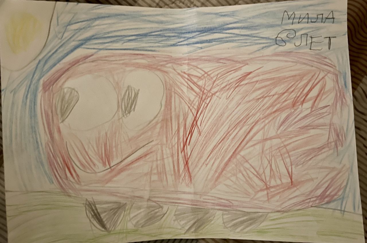 Мила 6 лет